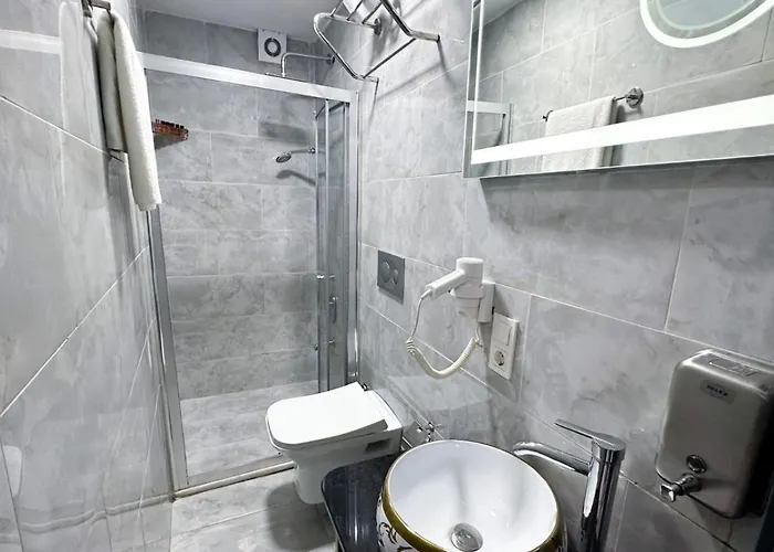 Dnz Taxim Feridiye 3* Istanbul